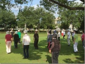 公園内に日光が当たり、芝生の上で大勢の男女が体操をしている写真